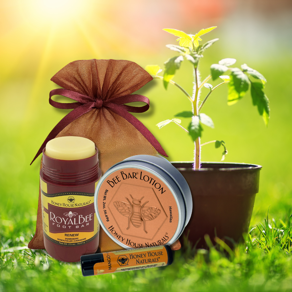 Spring is Here! - Sandal Season - GO!