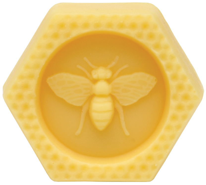 Large 2-Piece Set - Large Bee Bar &amp; Lip Butter Tube