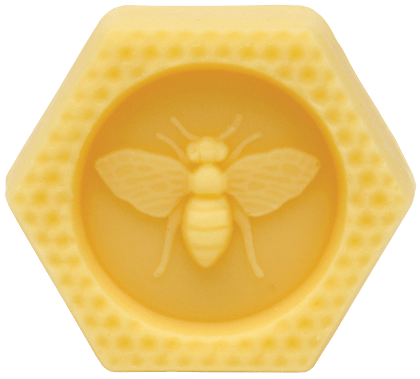 Große Bee Bar Lotion Bar