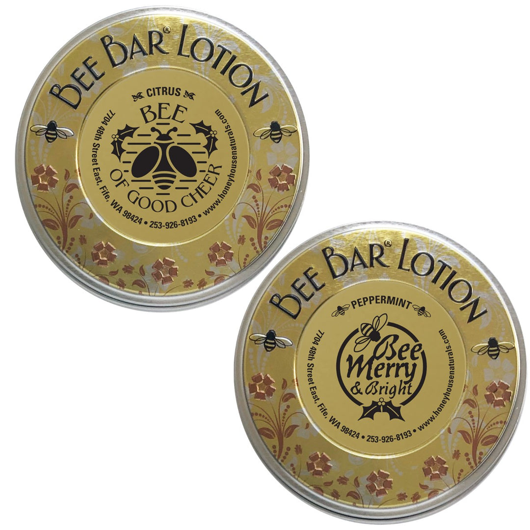 Sentiment Große Bienenstange - Winter