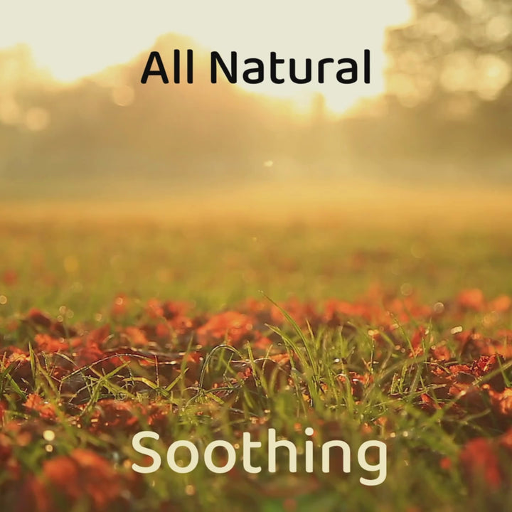 Honey Lollipops - New Flavors - Buy 5 Get 1 FREE